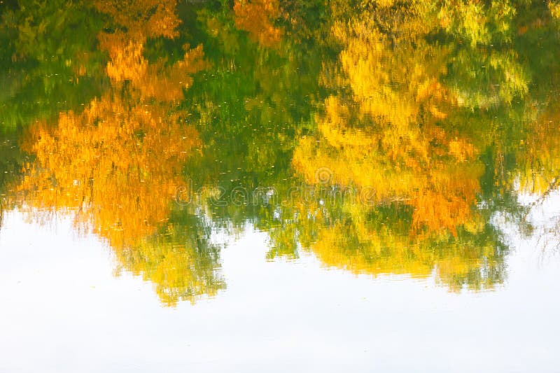 Reflet des arbres d'automne dans un plan d'eau photo libre de droits