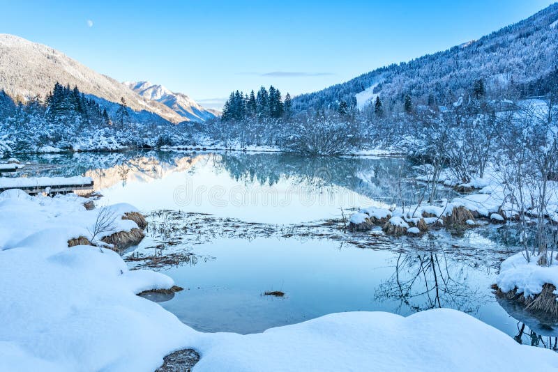 Reflexion im Teich von Zelenci-Teich stockbilder Reflexion im Teich von Zelenci-Teich stockbilder