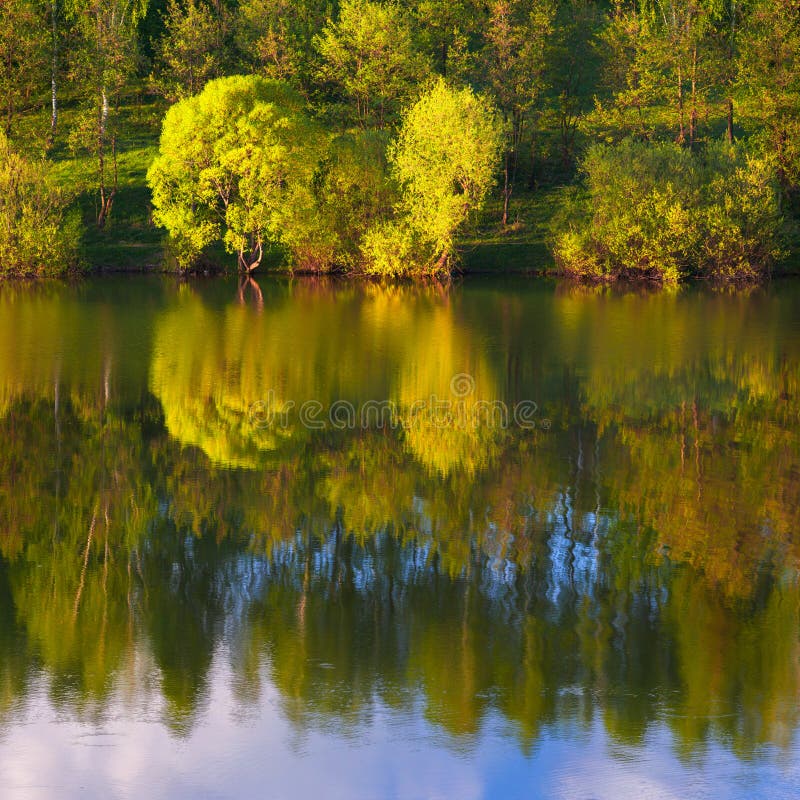 Reflexion von Bäumen im See