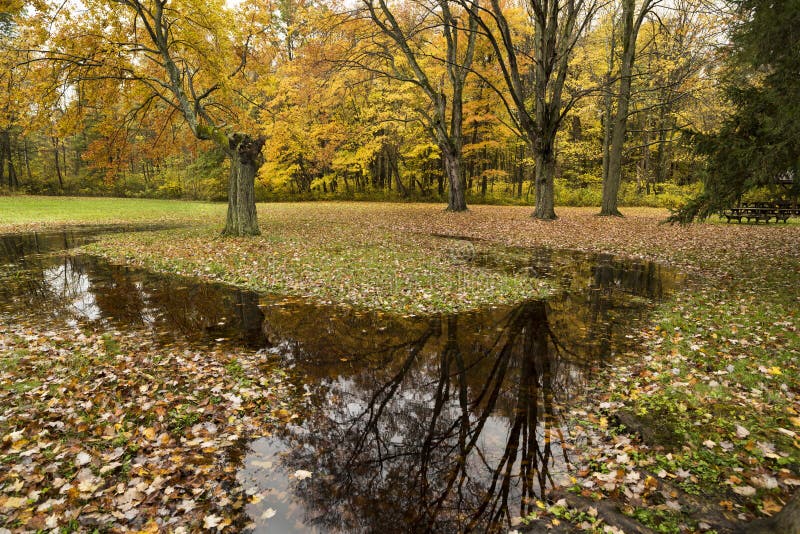 Reflexiones del otoño imagen de archivo. Imagen de exterior - 162673203