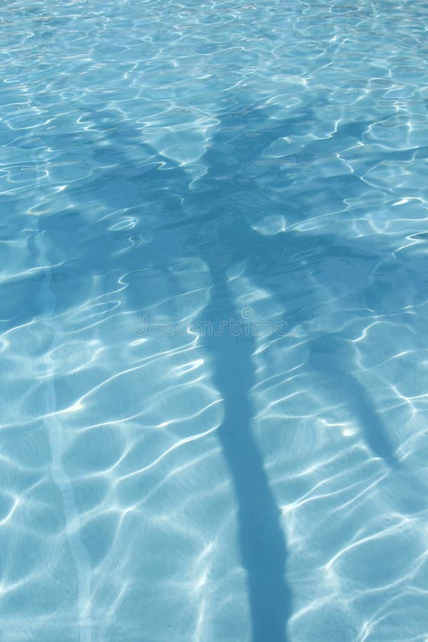 Reflexión de la palmera en piscina imagenes de archivo Reflexión de la palmera en piscina imagenes de archivo