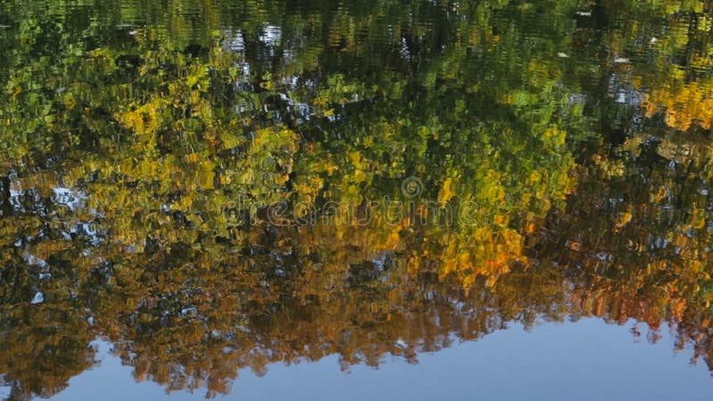 Reflexión en agua