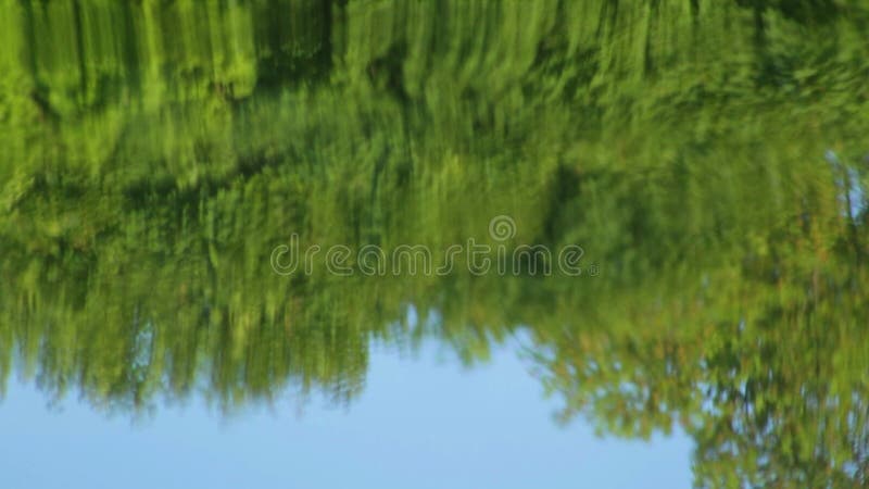 Reflexión en agua