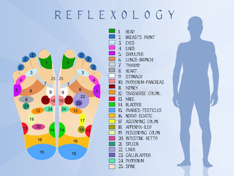 Ovaries Reflexology Foot Chart