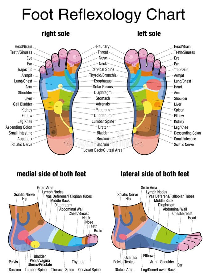 Reflexology Chart For Plantar Fasciitis