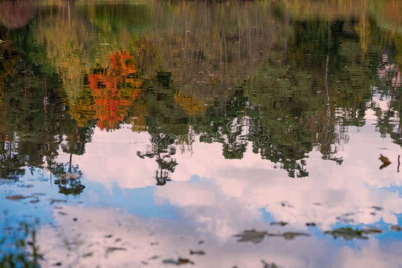 Reflexão das árvores coloridas brilhantes cênicos diferentes do outono Queda, paisagem no parque velho Caminhada, humor, conceito fotografia de stock Reflexão das árvores coloridas brilhantes cênicos diferentes do outono Queda, paisagem no parque velho Caminhada, humor, conceito fotografia de stock