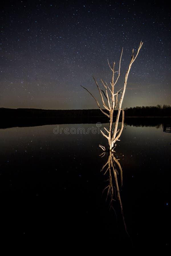 Reflexões imagem de stock royalty free Reflexões imagem de stock royalty free