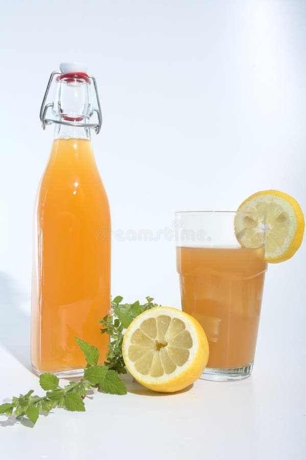 Refreschment com bavarege e gelo do suco imagem de stock Refreschment com bavarege e gelo do suco imagem de stock