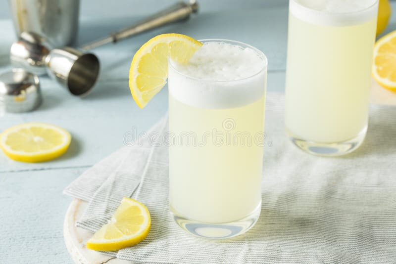 Refreshing Cold Egg Gin Fizz