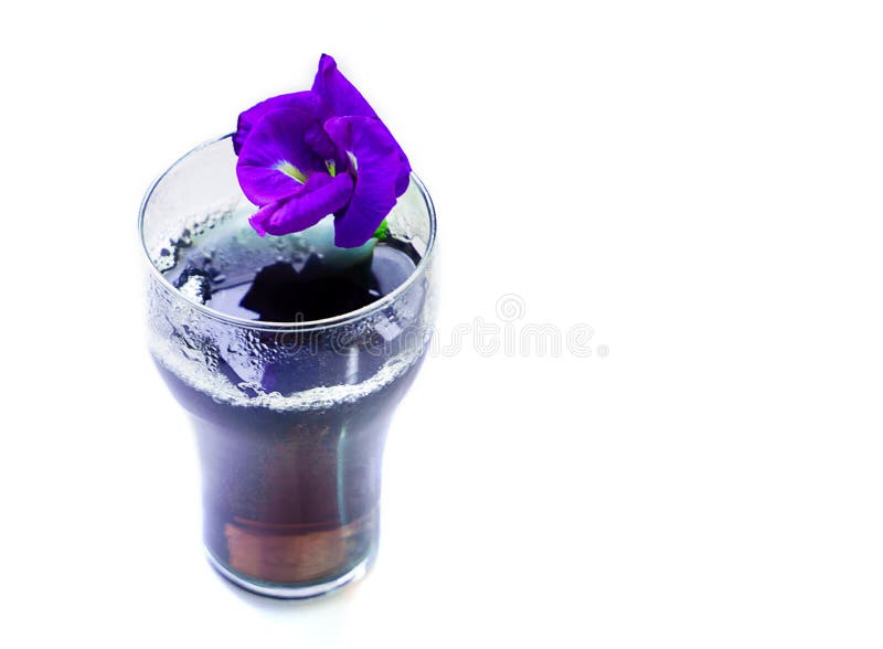 Refreshing Drink of Butterfly Pea Flower,Butterfly Pea Juice Stock