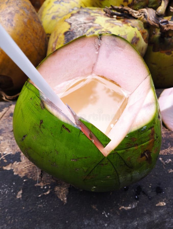 Refreshing Green Coconut is Ready To Drink Stock Image Image of drink