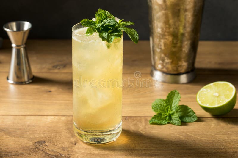 Refreshing Mint GinGin Mule Cocktail Stock Photo Image of food, celebration 195103418