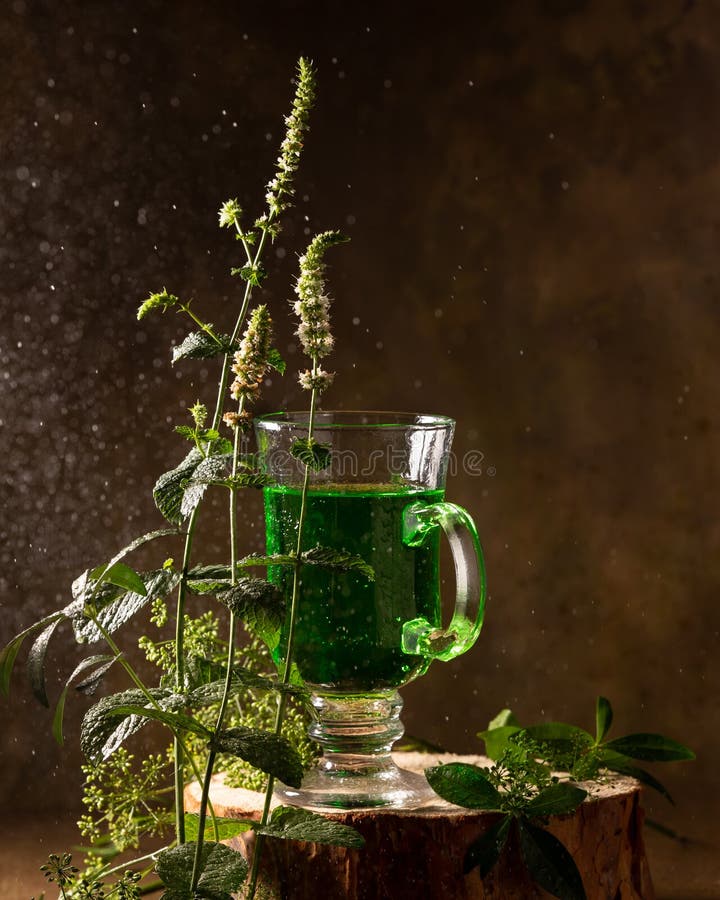 Refreshing Tarragon Drink and Blooming Fresh Mint Stock Photo Image of cocktail, plant 227192898