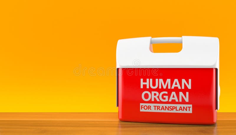 Refrigerador para el órgano humano en fondo anaranjado stock de ilustración Refrigerador para el órgano humano en fondo anaranjado stock de ilustración