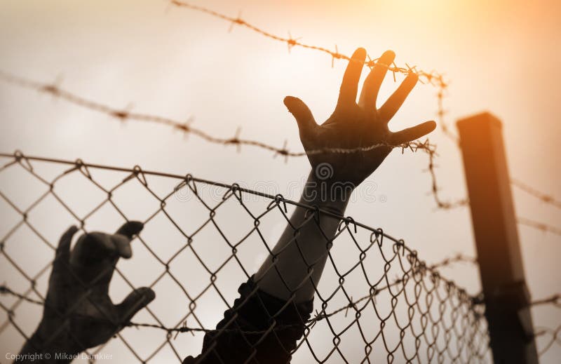 Refugee men and fence