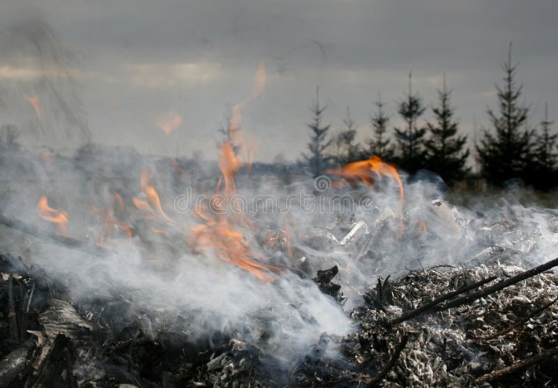 Download Refuse stock photo. Image of damage, refuse, contaminate - 9658012