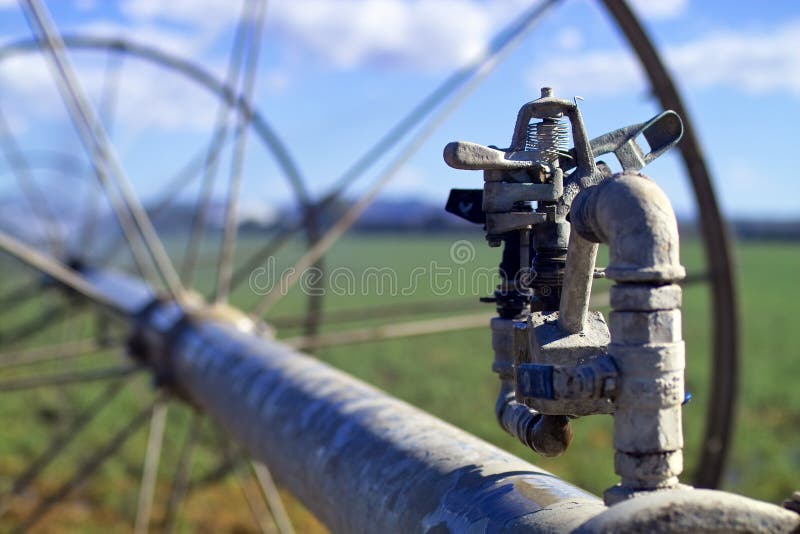 Valle De Okanagan Del Lagar Del Viñedo De La Regadera De La Irrigación