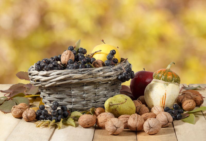 Regali di autunno: noci, aronia, mele, pera, zucca sulla tavola di legno ed in un canestro di vimini sul fondo giallo delle fogli immagini stock libere da diritti Regali di autunno: noci, aronia, mele, pera, zucca sulla tavola di legno ed in un canestro di vimini sul fondo giallo delle fogli immagini stock libere da diritti