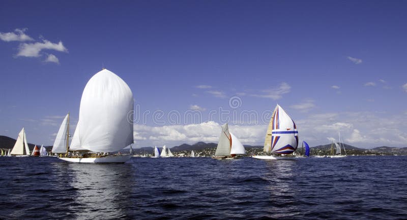 Regatta Nioularge