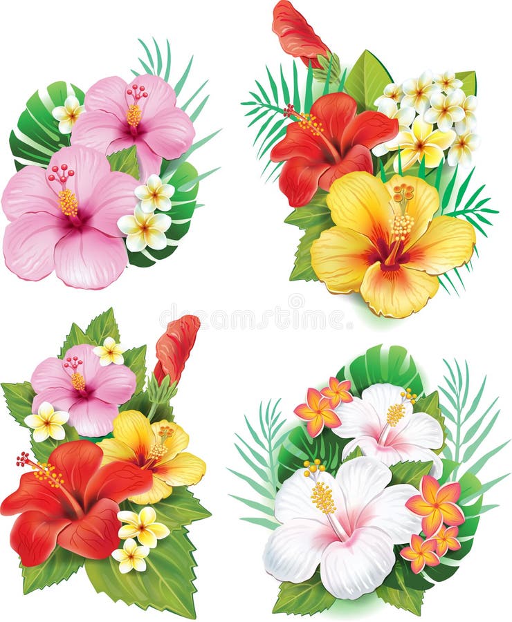 Arrangement from hibiscus flowers and leaves. Arrangement from hibiscus flowers and leaves