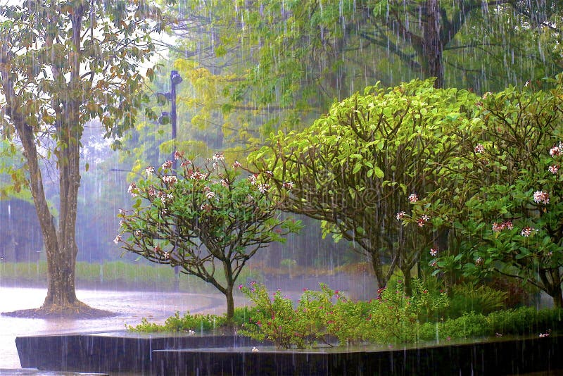 Regen in den Gärten durch die Bucht - botanische Gärten in Singapur lizenzfreie stockfotos Regen in den Gärten durch die Bucht - botanische Gärten in Singapur lizenzfreie stockfotos