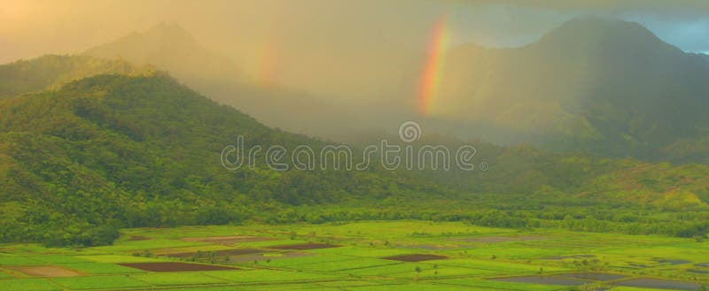 A series of early rainbows in early morning sunlight over Hanalei Valley, captured in Kauai in the Hawaiian Islands. A series of early rainbows in early morning sunlight over Hanalei Valley, captured in Kauai in the Hawaiian Islands.