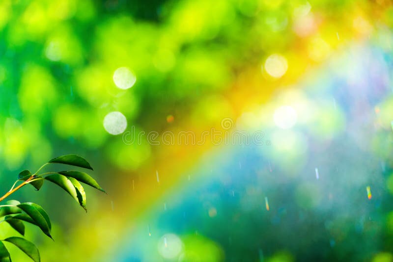 Regenboog en bladeren van peer op samenvatting vage achtergrond royalty-vrije stock afbeelding Regenboog en bladeren van peer op samenvatting vage achtergrond royalty-vrije stock afbeelding