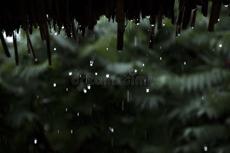 Rain drops falling down the from bamboo roof. Rain drops falling down the from bamboo roof