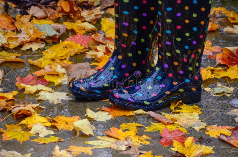 Regenlaarzen met kleurrijke de herfstbladeren royalty-vrije stock foto's Regenlaarzen met kleurrijke de herfstbladeren royalty-vrije stock foto's