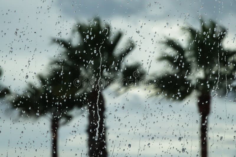 Regentropfen auf dem Fenster mit unscharfen Palmen des Hintergrundes Feiertagsausfallkonzept lizenzfreies stockbild Regentropfen auf dem Fenster mit unscharfen Palmen des Hintergrundes Feiertagsausfallkonzept lizenzfreies stockbild