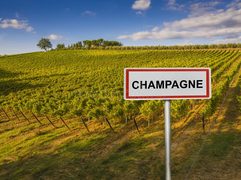 Regione Del Vino Di Champagne Di Francia Fotografia Stock Immagine di
