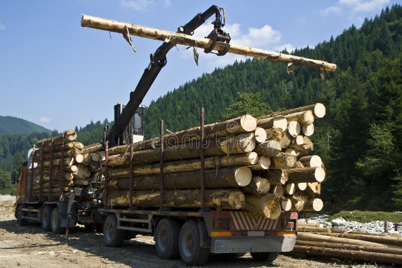 Working crane in a forest building a stack of logs. Working crane in a forest building a stack of logs