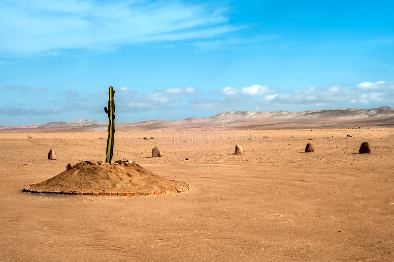 338 Tacna Fotos de stock Fotos libres de regalías de Dreamstime