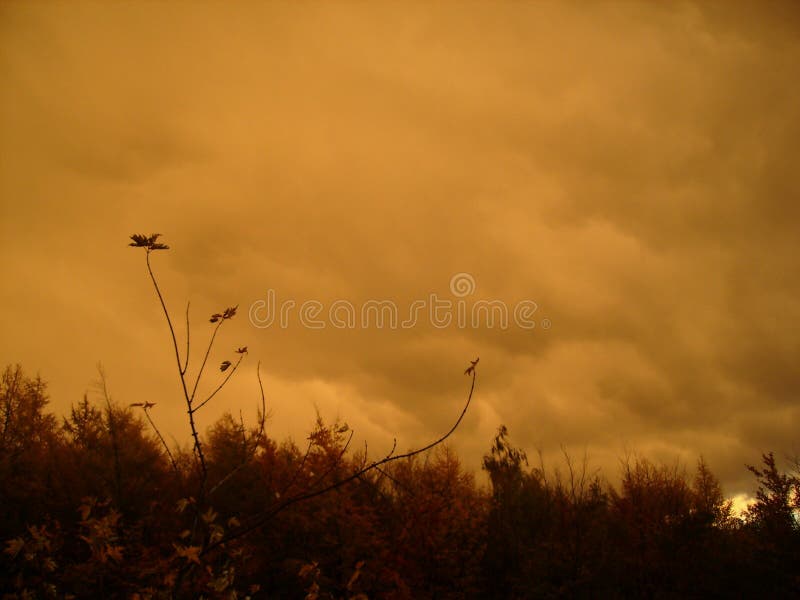 Regnmörker - orange moln som ser bister ut himmel över höstskogen arkivfoton Regnmörker - orange moln som ser bister ut himmel över höstskogen arkivfoton