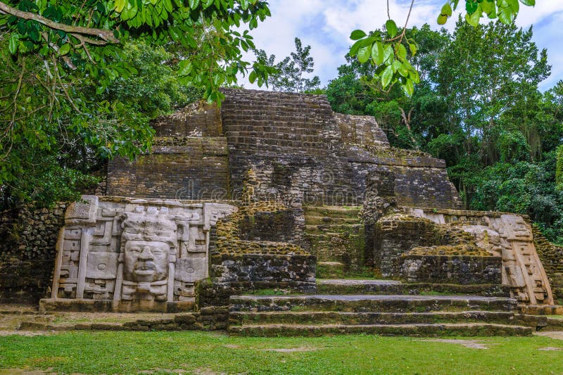 Regnskog i Belize fotografering för bildbyråer