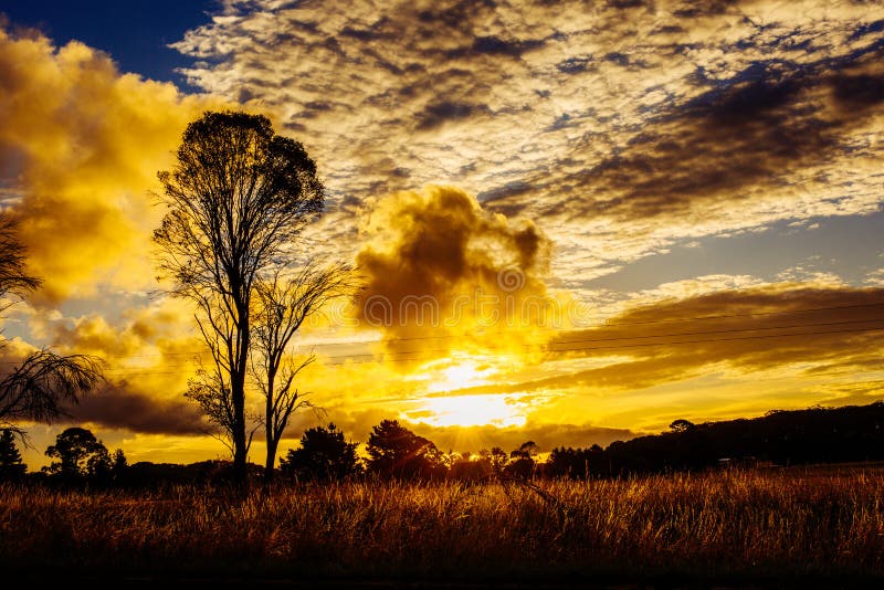 Regolazione sbalorditiva del sole di tramonto dietro l'albero, montagne Australia rurale immagine stock Regolazione sbalorditiva del sole di tramonto dietro l'albero, montagne Australia rurale immagine stock