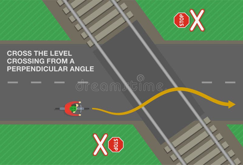 Vista Superior Dos Carros Estacionados Perpendiculares Corretos E