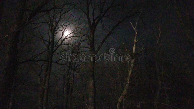 Reichweite für den Mond stockfotografie Reichweite für den Mond stockfotografie