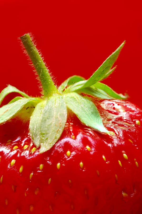 Reife Erdbeerenahaufnahme auf einem roten Hintergrund lizenzfreies stockbild Reife Erdbeerenahaufnahme auf einem roten Hintergrund lizenzfreies stockbild