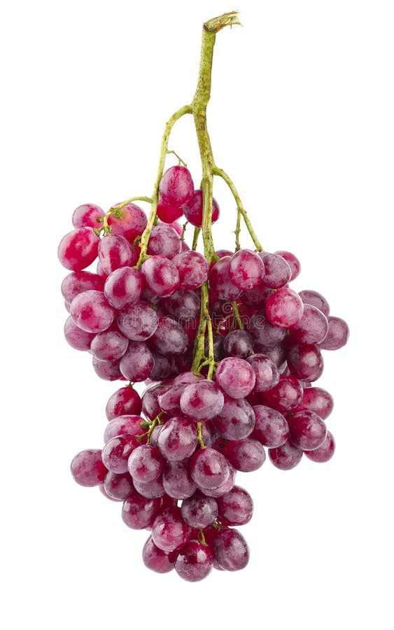 Reife Frucht der frischen Trauben der Gruppe stockfotos