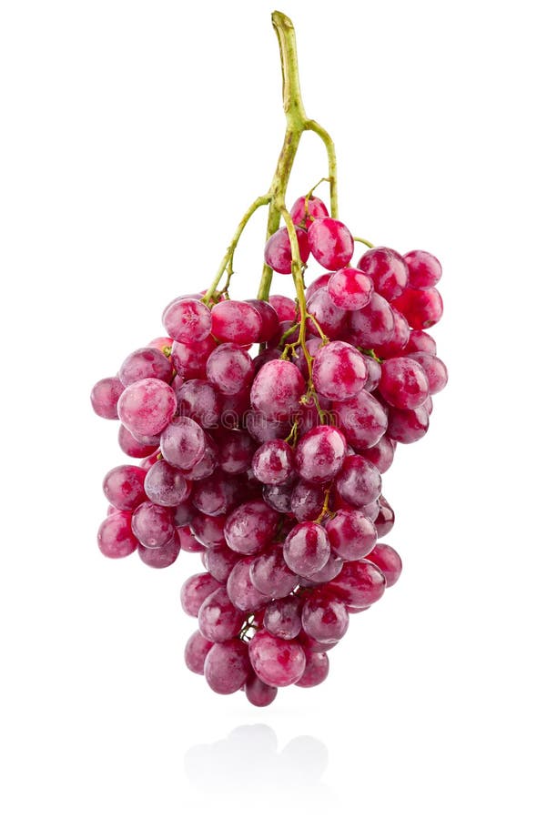 Reife Frucht der frischen Trauben der Gruppe stockbild
