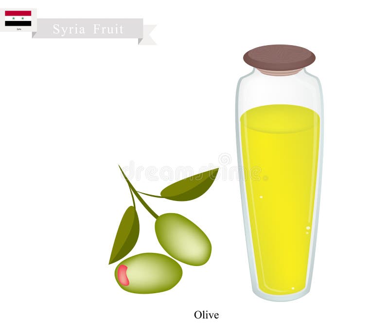 Reife Olive, eine populäre Frucht in Syrien vektor abbildung Reife Olive, eine populäre Frucht in Syrien vektor abbildung