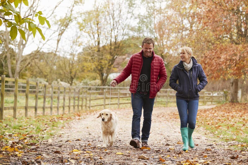 Reife Paare auf Autumn Walk With Labrador