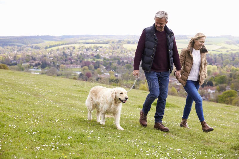 Reife Paare, die golden retriever für Weg nehmen lizenzfreie stockfotos Reife Paare, die golden retriever für Weg nehmen lizenzfreie stockfotos