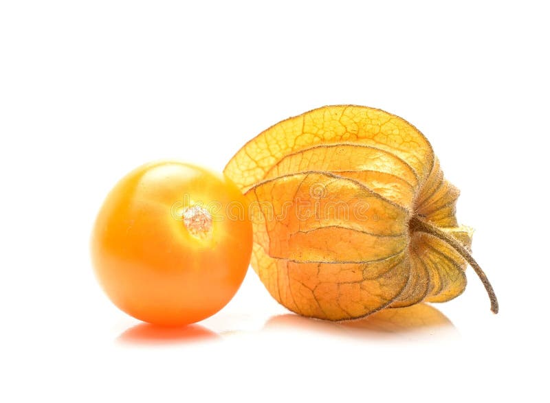Reifer Physalis stockfotografie Reifer Physalis stockfotografie