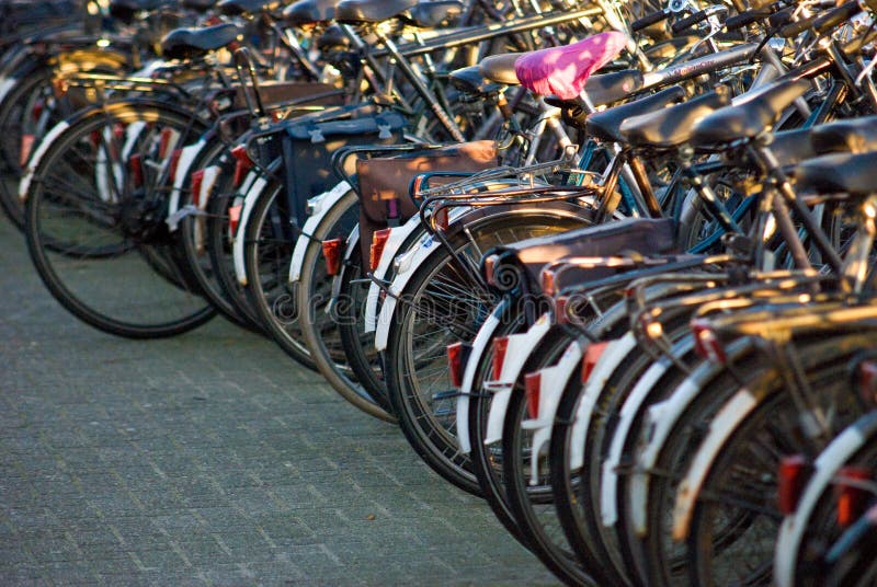 Row of bicycles in a rack at sunset. Row of bicycles in a rack at sunset