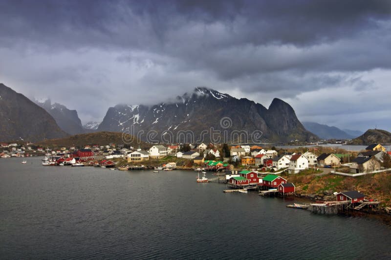 Reine