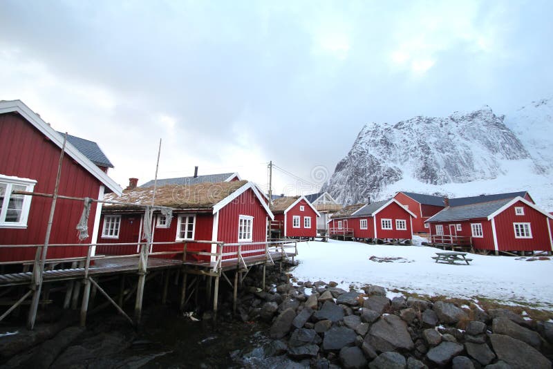Reine en hiver photo libre de droits Reine en hiver photo libre de droits