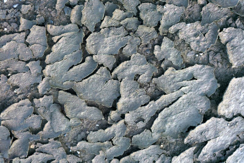 Reines strukturiertes umweltsmäßigmuster im neutrale Farbobenliegenden Schuss stockfotografie Reines strukturiertes umweltsmäßigmuster im neutrale Farbobenliegenden Schuss stockfotografie