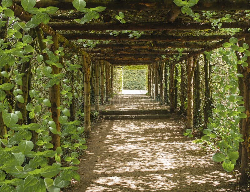 Reis van de Ziel Mooie tunnel die van bomen wordt gemaakt royalty-vrije stock afbeelding Reis van de Ziel Mooie tunnel die van bomen wordt gemaakt royalty-vrije stock afbeelding
